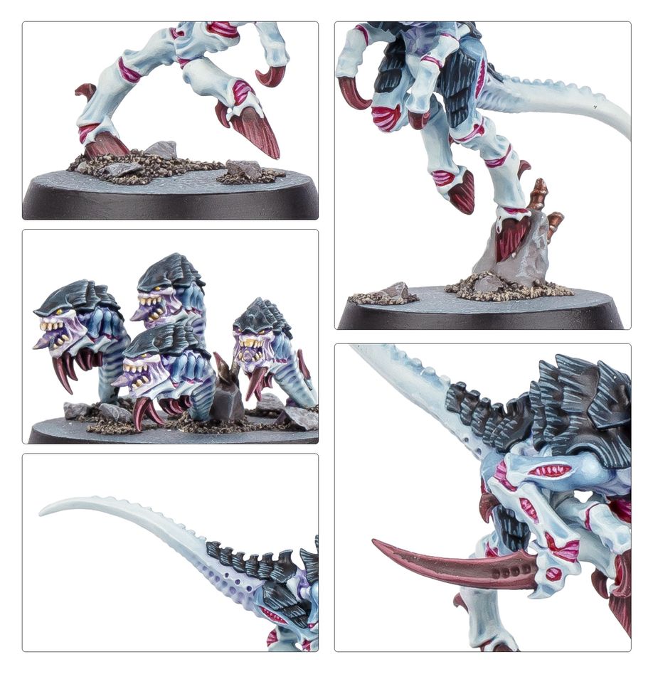 Warhammer 40K - Kill Team: Typhon - MEKA NEKO