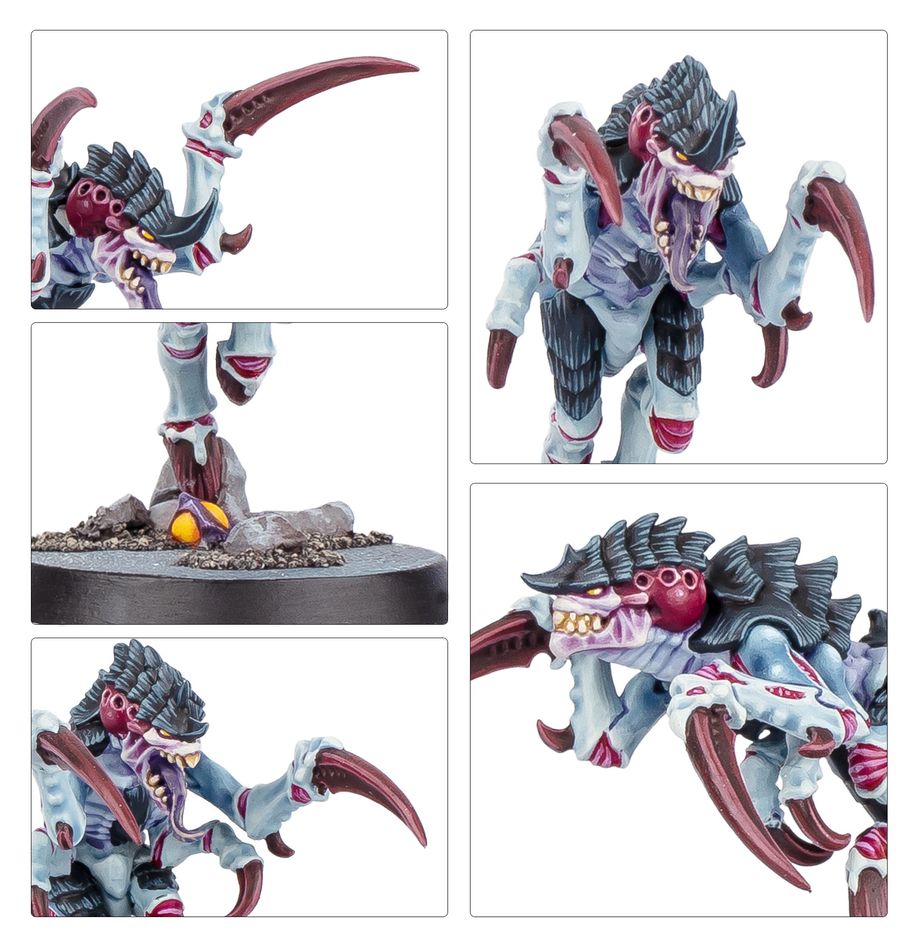 Warhammer 40K - Kill Team: Typhon - MEKA NEKO