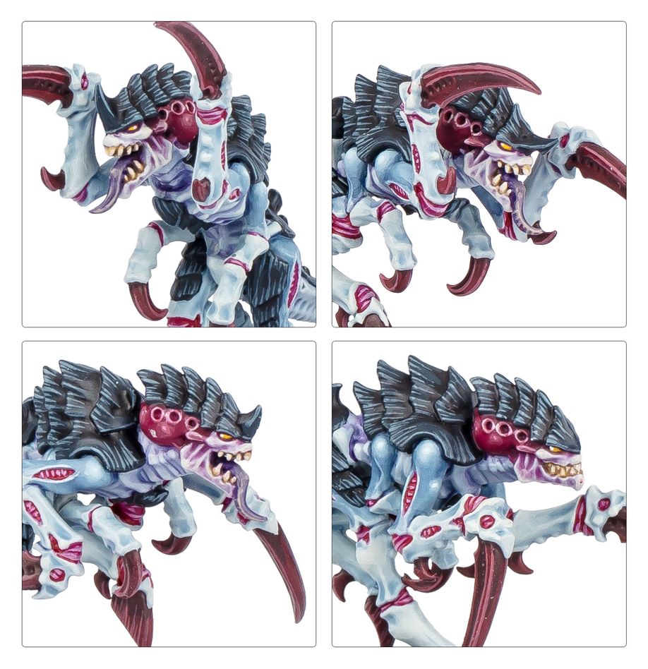Warhammer 40K - Kill Team: Typhon - MEKA NEKO